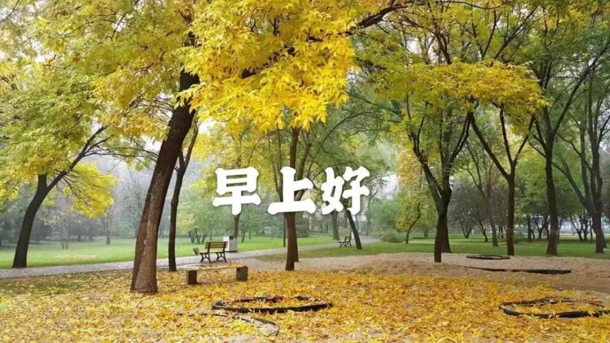 最新秋天风景早上好图片带字精选 秋天早安问好祝福语