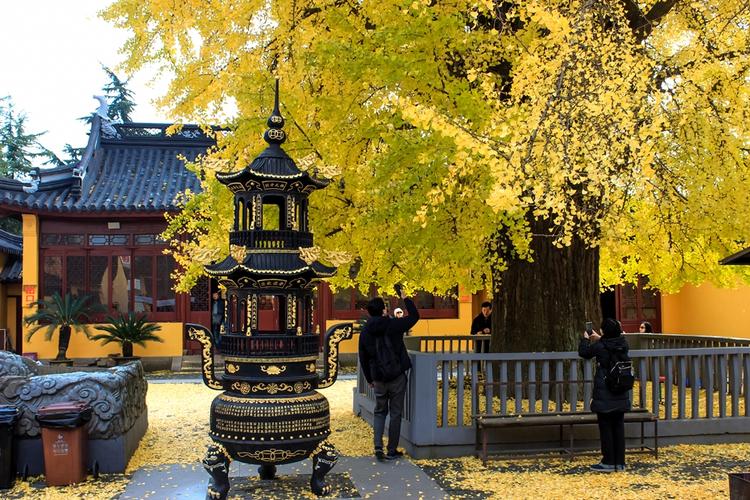 颐浩禅寺被列为青浦县文物保护单位