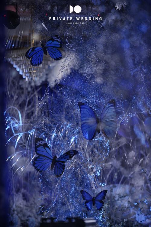 幽深处,  一场蓝色蝴蝶与珊瑚礁的邂逅.