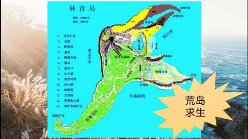 《神秘岛》李老师