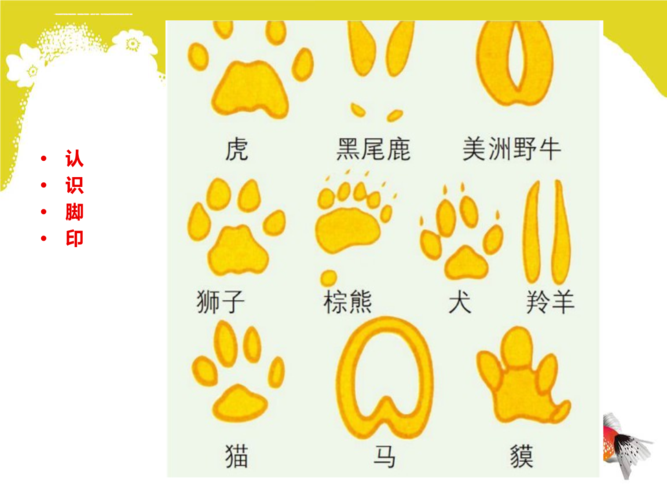 人教版小学美术二年级上册脚印的联想课件_3.ppt