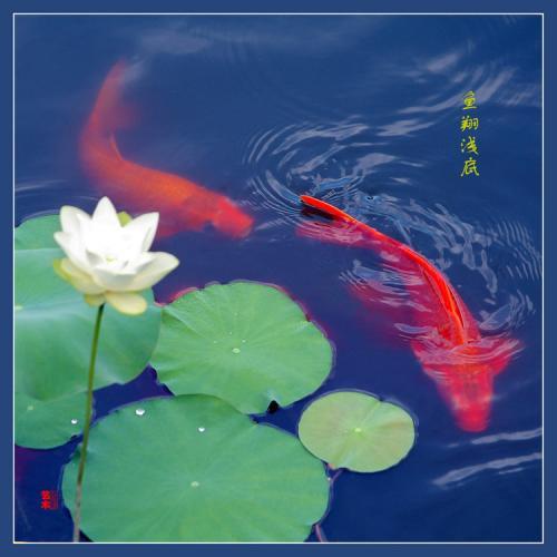 qq头像唯美女生动漫头像小清新自然