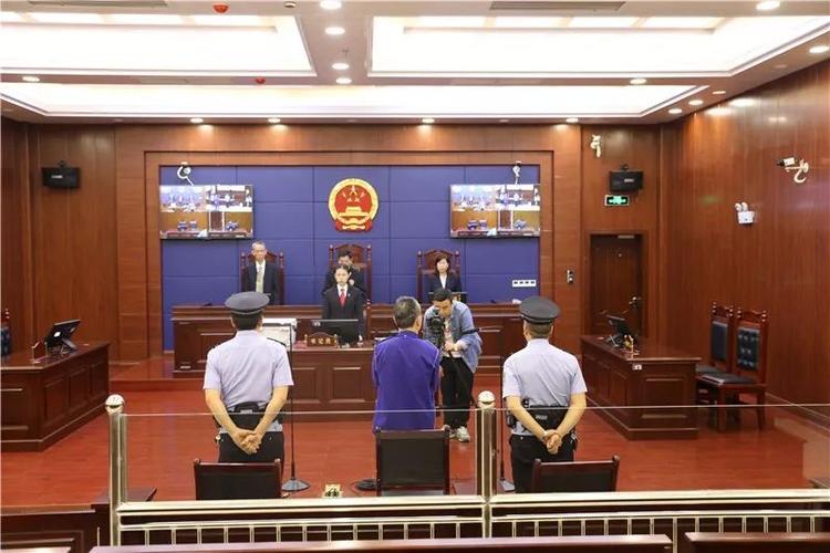 有期徒刑9年!严政挪用公款,受贿案一审宣判