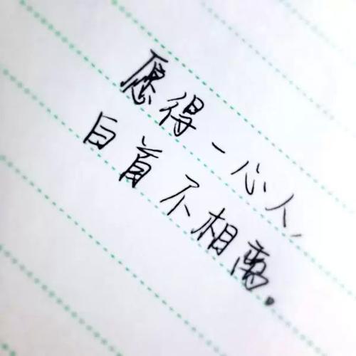 初见倾心,再见依然