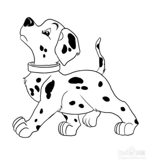 简笔画:一只傲娇的斑点狗
