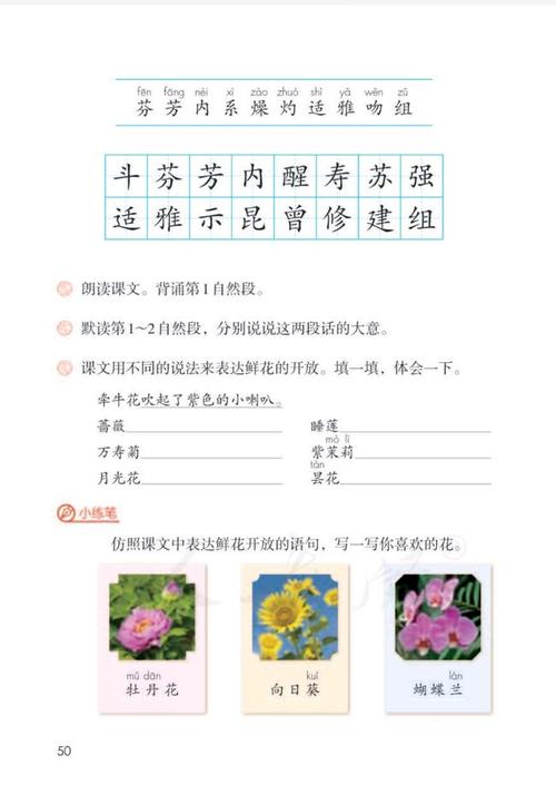 三年级下册语文《花钟》的自我学习与练习