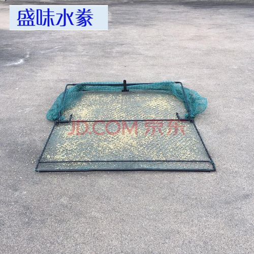 抓鸽子神器 天落笼四面埋伏只进不出撞门笼全自动野外