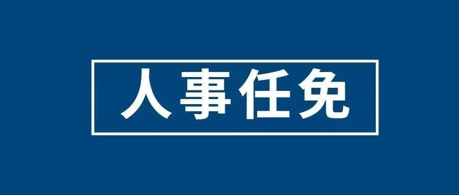 最新!菏泽市政府发布人事任免通知