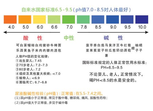 ph测试笔 ph计水质检测笔酸度计测试鱼缸水族ph笔 ph值酸碱仪器