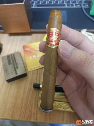 长城132秘制雪茄品吸