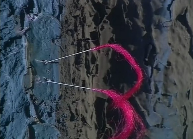 杨过想出计策,借李莫愁的冰魄银针