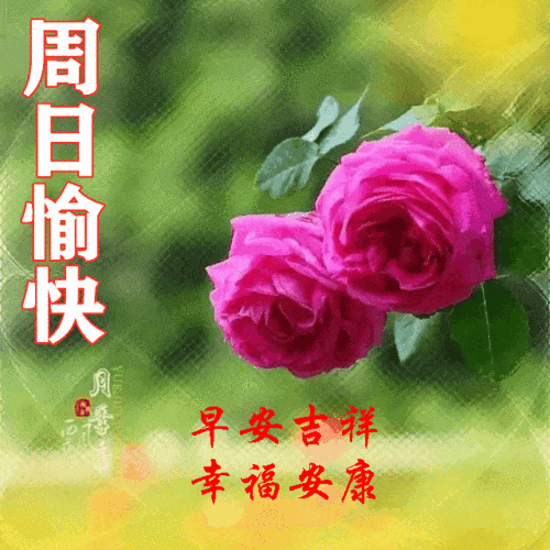 2021131星期天《早安心语》