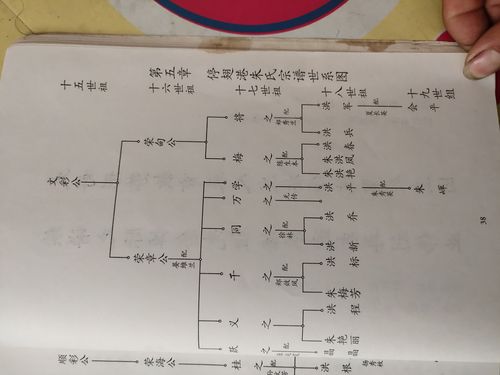江苏宿迁朱氏族谱