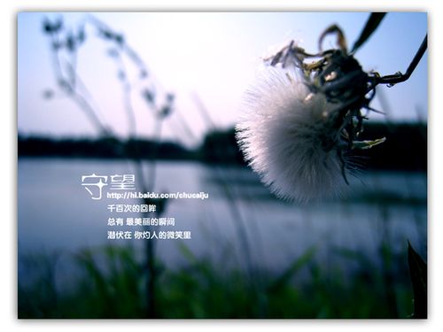 指间散文第一次远行