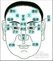 面相眼睛大全