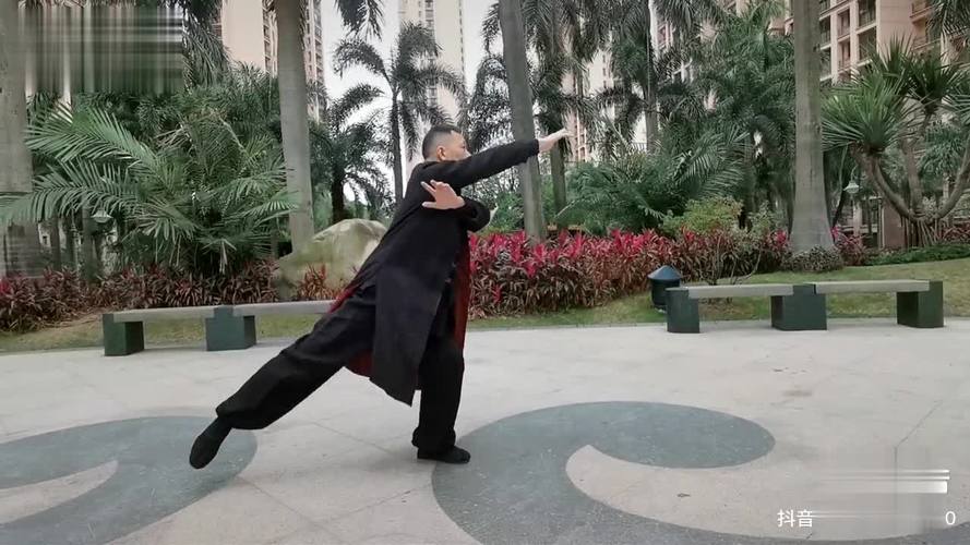 青龙出海 龙潜海底太极养生 太极 太极拳 中华传统