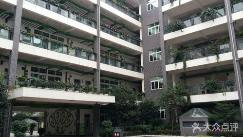 璧山区实验小学图片 - 第5张