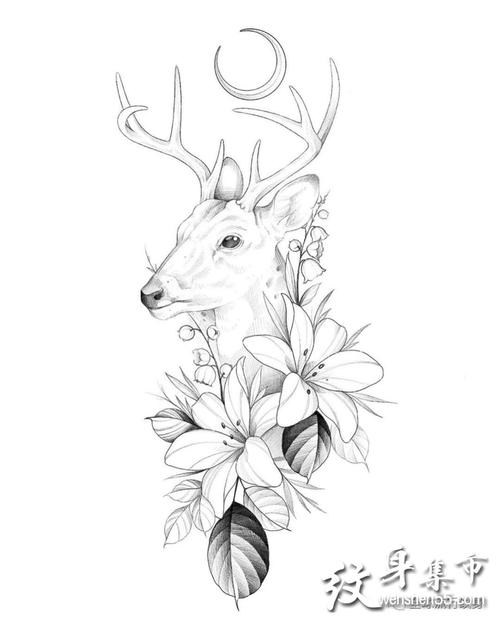 小清新纹身手稿素花与蛇鹿虎纹身手稿