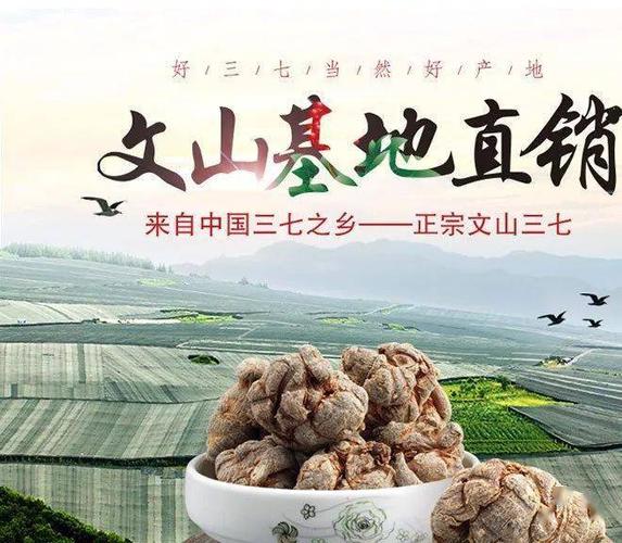 嗨途原产地直供--云南文山三七,地道药材!