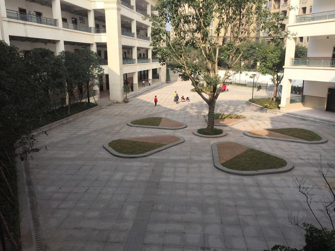 学校中庭花园