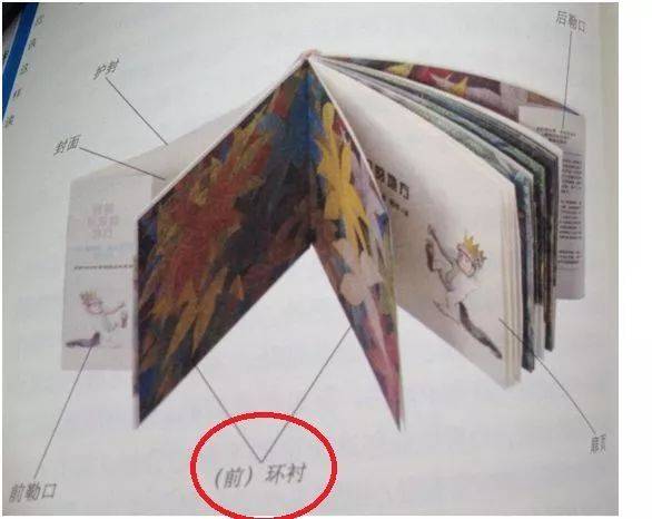 前环衬和后环衬