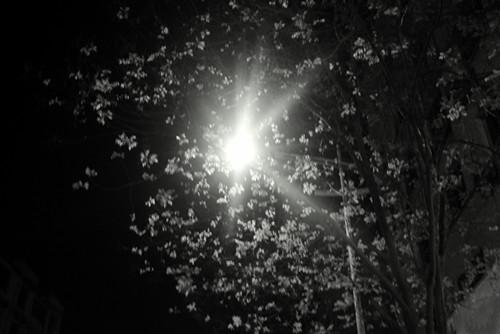 一组黑白图片触碰黑夜里的光芒