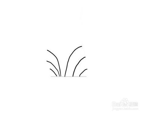 4  从刚才的基底线往外画出几条曲线段,作为草的轮廓.