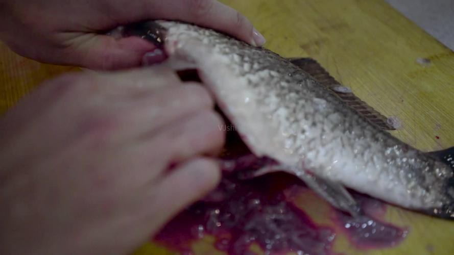 杀鱼洗鱼_1920x1080_高清视频素材下载(编号:2064427)_实拍视频_vj师