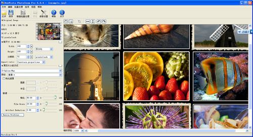 photozoom(无损放大图片) v5.0.4 中文破解绿色版
