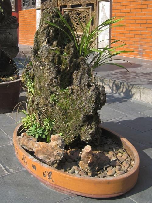 假山盆景的制作过程介绍.