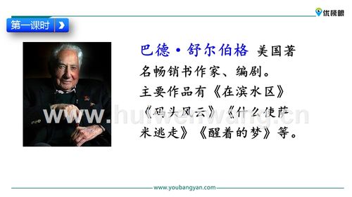 20 "精彩极了"和"糟糕透了".pptx