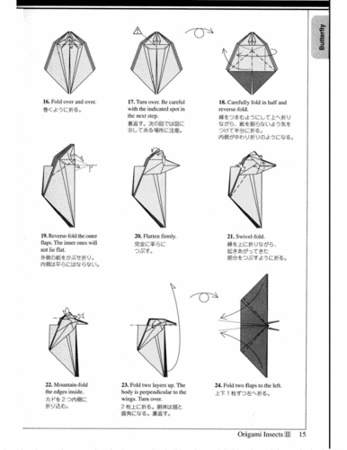 折纸工艺-折纸图鉴:昆虫2.pdf