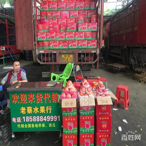 东莞下桥社区水果整车交易苹果批发市场