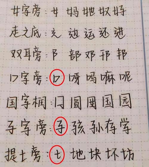 鲸落体太可爱了颇受女大学生欢迎阅卷老师喜欢网红字体吗
