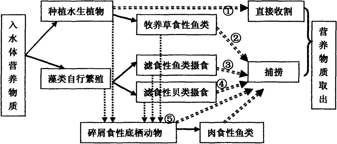 cn101962227a_去水体富营养化的方法失效