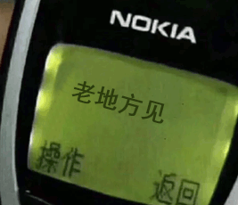 手机秘密短信系列表情包