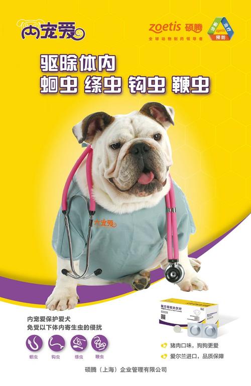 2019亚洲宠物展,硕腾带给你惊喜连连