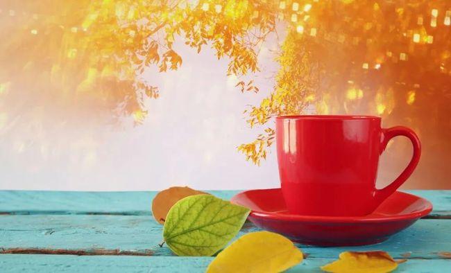 温暖人心的早安句子阳光正能量值得分享