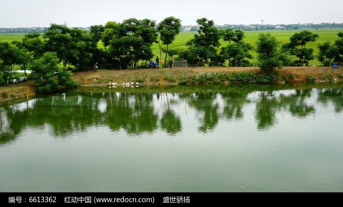 乡村池塘风景高清图片下载_红动中国