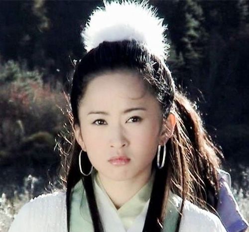 黄晓明版《神雕侠侣》中都有哪些高颜值美女,我们来捋