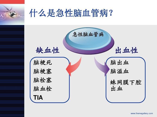 09一支部:急性脑血管病的预防ppt