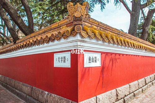 青岛大学路与鱼山路_旅行_青岛旅行_出行_人文风光展示_城镇乡村