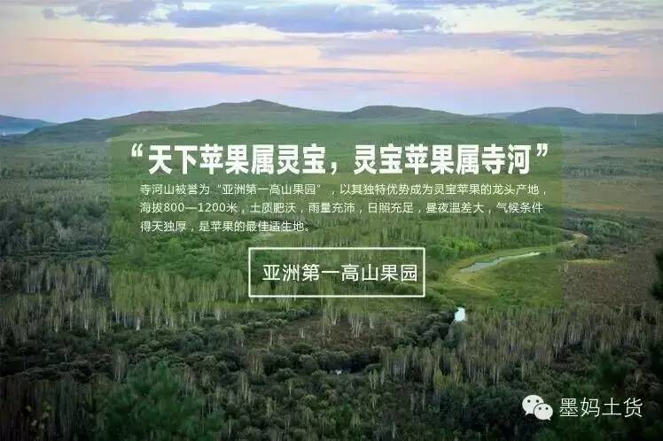舌尖上的三门峡之寺河山苹果