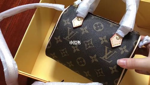 lv枕头包nano speedy老花mini迷你_枕头_nano_路易威登怎么样_时尚