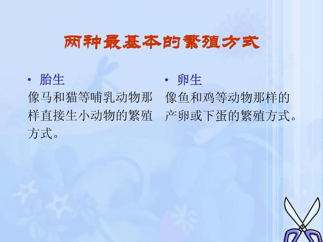 动物的繁殖方式ppt