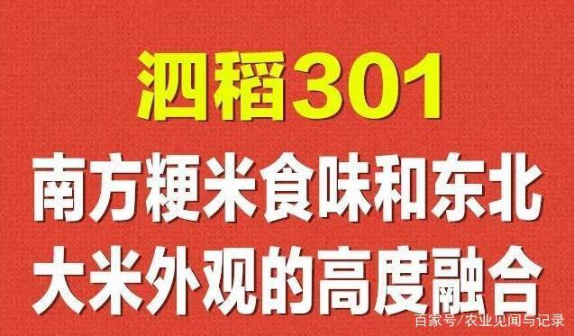 好消息!"泗稻301"荣获2019年全国优良食味粳稻品评一等奖
