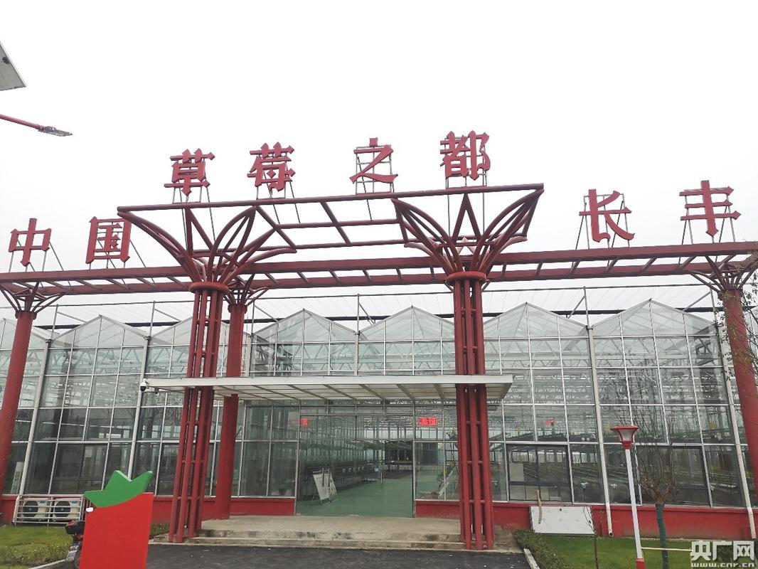 中国长丰草莓小镇进入开园"倒计时","博士草莓园"落户长丰