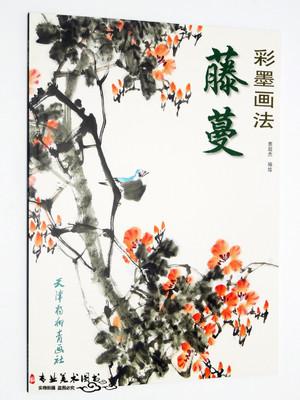 彩墨画法 藤蔓 费超杰编绘 花卉画国画技法 天津杨柳青画社 写意画