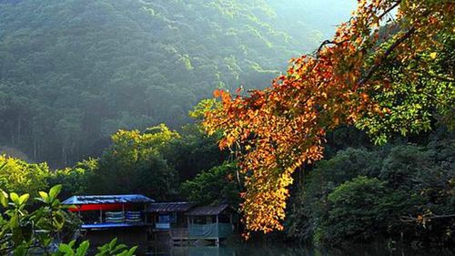 风景区以生态森林旅游为特色,以山水闲情为主题,风光秀丽的自然画卷