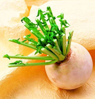 白萝卜防癌食补方法介绍(图)
